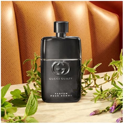 gucci guilty pour homme pricerunner|gucci guilty for men 50ml.